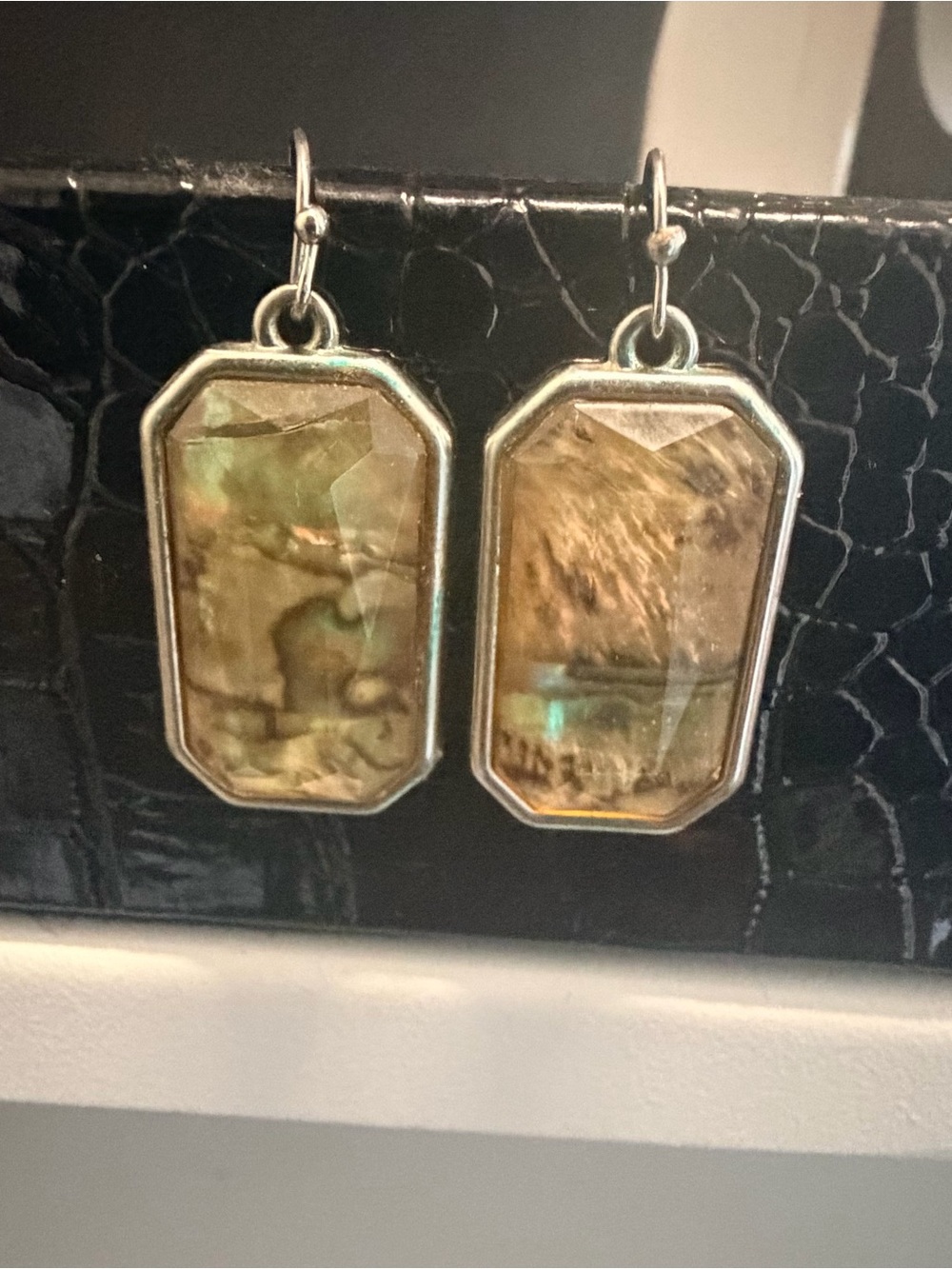 NWOT Anthropologie Abalone Shell Faceted Silver Drop Earrings